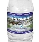 GOMUKH Gangajal The Purest Holy Water Directly From Gangotri Valley Approved By Govt. Of Uttrakhand For Puja Purposes 500Ml