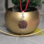 Haridwar Divine 7 Mukhi Rudraksha Original Certification with Silver Pendent with 10 mm Dia with Red Thread to add a QR Code for verifying The Authenticity of Your 7 Mukhi Rudraksha