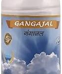 SVV ORGANICS 24 Gangajal 200ml – Original Ganga Jal Water from Har Ki Pauri Haridwar for Puja, Rituals, Pooja Samagri, Spiritual Use, Holy Water for Hindu Religious Ceremonies, Long Shelf Life (Pack of 1)