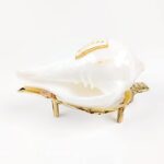 MAYAPURI Original Non-Blowing Authentic Puja Jal Shankh with Brass Sankh Stand, Pooja Jal Shankha, Jani Wala Shankh, Size Small Approx 3 inches (Pack of 1 Set)