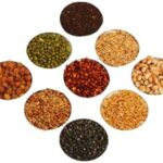 HEENA HOME DECOR NAVADHANYA Set / 9 GRAINS SET