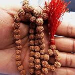 Ani Divine 108 Rudraksha Natural Seed,Prayer Beads,Rudraksha 108 Mala,Powerful Rudraksha Mala for Positive Vibes,Meditation 108 Beads Mala,Japa Mala