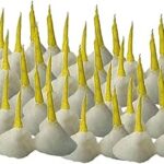 Kanhaji Creations Cotton Round Batti Wicks for Pooja Aarti Cotton Wicks (1100 Pcs)