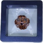 PUSHKARA NATURAL 4 MUKHI RUDRAKSHA CERTIFIED - NEPAL | BROWN | PJTL4M01 - ASTROLOGICAL BENEFITS - UNISEX PENDANTS - POSITIVE ENERGY FOR MEN & WOMEN