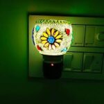 SHREE HANS CREATION Ceramic Kapur Dani Electrical Camphor Diffuser.Home Fragrance Aroma Glass Kapoor Dani & Essential Oil Diffuser Burner & Night Lamp-2013-Cucery-KL