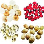 Divya Spiritual MATA Lakshmi/Laxmi Puja Kit- 11 Gomti Chakra, 11 Red Gunja, 11 Kaudi, 11 Shriphal/Laghu Nariyal for Pooja.