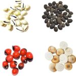DHOOP AGARBATTI SAMAGRI Pack of Yellow Kori, Red Gunja, Gomti Chakra, Kamal Gatta - Vastu Remedy for Home, Office & Pooja - Bring Positive Energy & Divine Blessings to Your Space (11 Pieces Each)