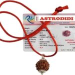 ASTRODIDI Brown 7 Mukhi/Seven Face Nepali Rudraksha Lab Certified and Mantra Siddha | 7 Faced Saat Mukha Natural Rudraksh Silver Plated Pendant with Red Thread for Men & Women