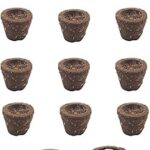 DEVGHAR Darshan (12 Piece) Cow Dung sambrani Cups Desi Cow Dung, ghee guggul, lobhan, Natural Herbs & havan samagri 100% Natural hawan sambrani dhoop Cup (12 Piece) with Stand