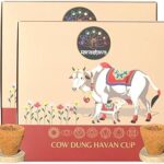 Manastava Havan Dhoop Cups 30 Pcs, Organic Cow Dung Sambari Dhoop Cups for Pooja, Home & Festivals, Pack of 2 (15 Cups +1 Burner)