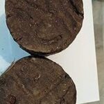 Gaushala Desi Cow Dung Cakes Used as Dry Cow Dung Manure for Havan (Pack of 10)