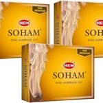 HEM Soham Sambrani Dhoop Cups | Natural Loban Havan Cups for Pooja & Festivals | Pure Sambrani Dhoop | Ideal for Homes, Temples & Meditation | 36 Cups (12 Cups/Pack) with 1 Burner Plate/Pack
