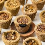 Cow Dung Panchgavya(24Pcs) Royal Deepam Natural Cup Sambrani looban Cups with Burner Plates