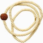POOJAWAVE Original Tulsi Kanthi Mala with 5 Mukhi Rudraksha | Natural Tulsi Wood Beads for Men & Women | Japa, Meditation, ISKCON, Hindu Pooja & Spiritual Wear Mala (Handmade, 1 Pc)
