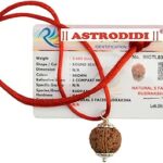 ASTRODIDI 5 Mukhi Rudraksha Original Certified Silver Plated Pendant | Natural Nepali Five Face Rudraksh Bead | Astrological Benefits | Unisex Design for Men & Women