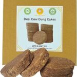 GAVO HARSHIDDHI Cow Dung Cake | Natural Eco-Friendly Gobar Upla for Havan, Pooja & Agnihotra | Organic, Air Purifier & Manure | Sun-Dried, Moisture-Free, 3-Inch Round, 32 Piece (Pack of 1)