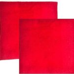 Premium Red Woolen Aasan - Soft, Comfortable Meditation & Prayer Mat (Rectangle 24 x 30 Inch) (Pack of 2 Aasan) PATITPAVAN