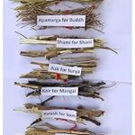 Vedic Sacred Wood Bundle Set, 9 Types - Doob, Kusha, Apamarga, Shami, Aak, Kair, Palash, Gular, Piple for Planetary Rituals Navgrah Havan ki Lakdi Navgrah Hawan Samidha