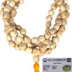 Kapil Store Pure Tulsi Mala 108 Beads Original for Pujan Jaap - Pack of 1