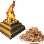 MITHILA HANDICRAFTS Hawan Samagri Kit - 250gm for Home/Office Pooja, Yagya Pujan | Samagri with 65 Types of Herbs - 100% Pure & Natural | Various Ayurvedic Herbs | No Artificial Ingredients