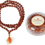 ASTRODIDI 5 Mukhi Rudraksha Mala for Mantra Jaap and Wearing | Certified and Natural 108+1 Beads Five Face Panchmukhi Rudraksh Mala for Men and Women (Beads Size 7-8 MM)