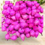 Kapoor Crafts 10 Pcs Artificial Sola Wood Paper Fake Lotus Bud Flowers for Decorations Garland Making Pooja Decor Wedding Housewarming Table Decorations (4 cms), Pink
