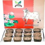 Gavyamart Organic Cow Dung Havan Sambrani Cups | 15 Cups for Home Dhoop Cup for Pooja- Havan Samagri - Made with Ayurvedic Herbs Including Loban, Jatamasi, Guggal, Kapoor, Other Herbs