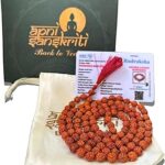 Apnisanskriti Lab Certified 5 Mukhi Rudraksha Mala Men/Women Wearing (7mm, Medium Bead Size, Chest Length, 108+1) - Natural Brown Rudraksha Beads - Pack of 1