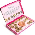 Nirmalaya Premium Organic Rooh Gulab Havan Cups | Pack of 15 with Diya | Natural Havan Samagri Blend of Flower Powder, Loban & Jatamansi | Ideal for Pooja, Meditation, Yoga and Aromatherapy