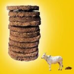 Natural Cow Dung Cakes !! Gobar Upla !! Gobar Kanda !! Seni !! Chipari !! Cow Dung Cake 10 PIS !! for Holi and Havan Samagri