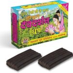 Devdarshan Special Wet Dhoop Sticks | Premium Natural & Non-Toxic Dhoop for Daily Puja, Meditation, Havan & Festivals | Long-Lasting Fragrance | 480 Sticks (Pack of 24 Units, Wet Dhoop 20 Sticks Each)