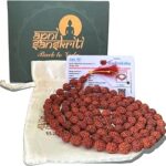 Apnisanskriti 5 Mukhi Rudraksha Mala for Jaap and Men/Women Wearing (10mm, Big Bead Size, 108+1, Lab Certified) - Natural Brown Rudraksh Beads - Pack of 1