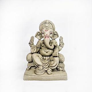 Shop Primary Image