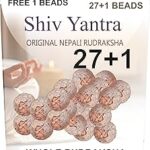 Shiv Yantra Nepali Rudraksha Fruit (Pack of 27 Bead) ????????? ?? with Natural Unprocessed Raw Shell for Mala Bracelet & Pendant