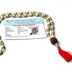 MAHANT JI 100% Natural & Certified Tulsi Mala with Sphatik and Rudraksha Bead Lab Tested with Certificate, Gangajal and Chandan from Kashi