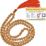 Rudraksha Mala 108 Beads Original Panchmukhi, Authentic Rudraksha Chain for Men, Spiritual Japa Mala 108 Beads Prayer Meditation Rudraksha Mala Necklace, Handcrafted with Natural Beads for Inner Peace