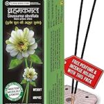 Parag Fragrances Bramah Kamal (Lotus) Incense Sticks 200gm ब्रम्हकमल अगरबत्ती (दुर्लभ फूल की अद्भुत सुगंध) Premium Masala agarbatti/Best for Worship and Home Fragrance