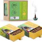 Phool - Mosquito Repellent Agarbatti - Pack of 2 (80 Organic Dhoop Cones-Citronella & Eucalyptus+2 Free Ceramic Holder Handrolled & Sulpher & Charcoal Free-100% Organic (500 GMS)