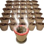 Cow Dung Dhuni Cups (100 Pcs.) (Natural Dhuna Resin Filled)