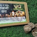 Cow Dung Hawan Sabrani Cup Pack of 12 pcs