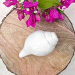 Divine Hindu Natural Loud Blowing Original Shankh | Conch for Pooja | White Sankh | Ospicious Occassion | Size:11 Cm | Spiritual Product