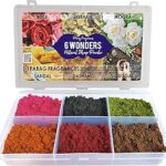 Parag Fragrances 6 Wonders Dhoop Powders for Dhuni/Hawan/Fragrance at Home (Rose/Lobhan/Mogra/Chandan/Dashang/Guggal) Natural Hawan Samagri
